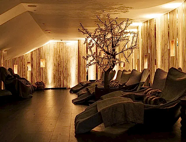 Deck chairs and an ornamental tree in a dimly lit lounge