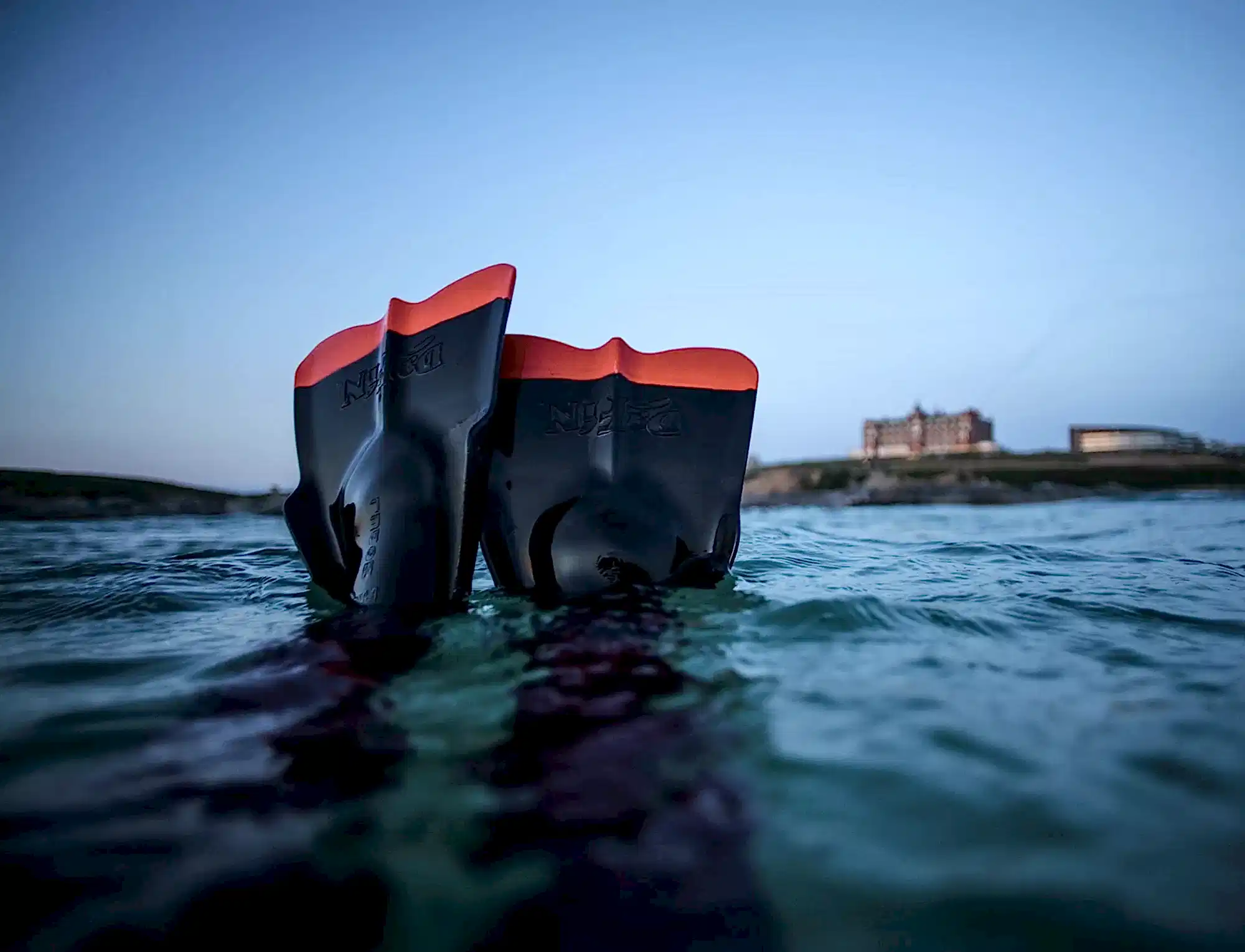 Two flippers emerging from the sea with the Headland hotel in the background