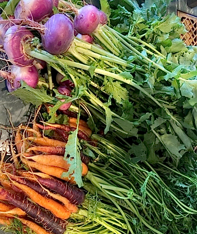 A bunch of root vegetables