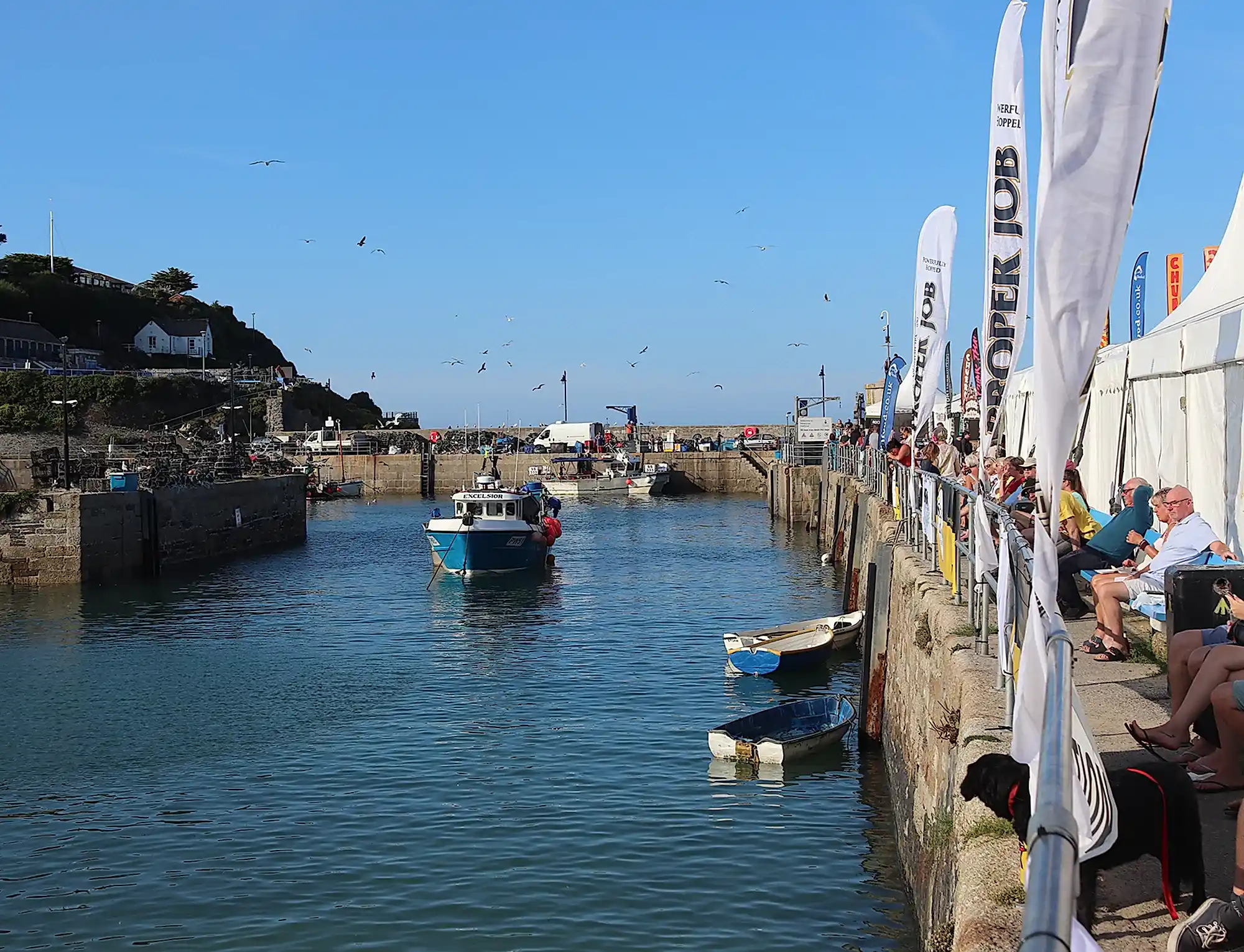 A view of a harbour near to the Headland hotel