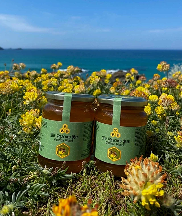 Two jars of honey on a meadow