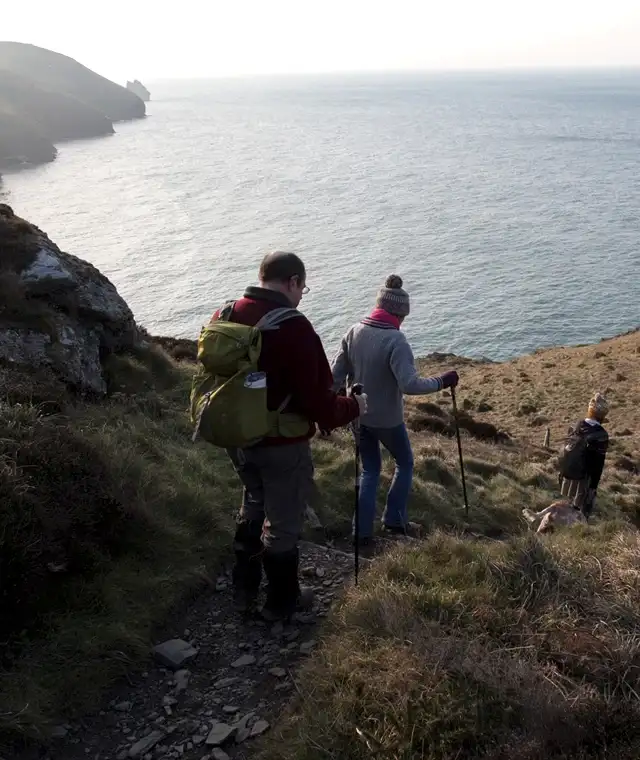 Luxury Dog-Friendly Hotel in Newquay, Cornwall | The Headland