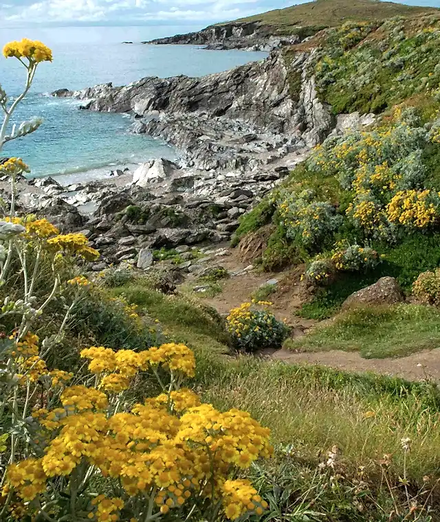 Spring Breaks in Cornwall: Explore the Season from The Headland